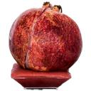 prodotto