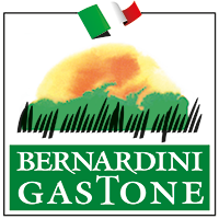 Scopri le offerte di Bernardini Gastone