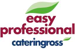 EASY PROFESSIONAL