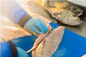 Il pescato fresco e surgelato per la ristorazione di qualità
