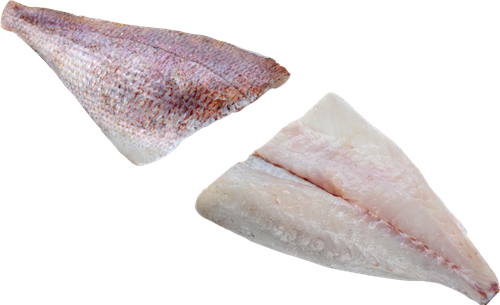 prodotto