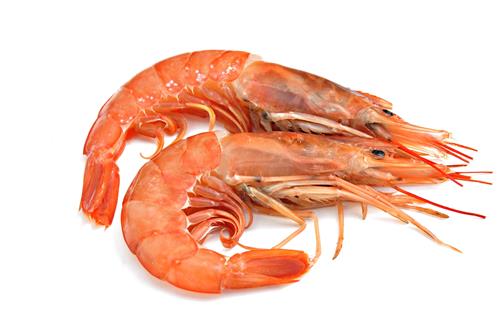 prodotto