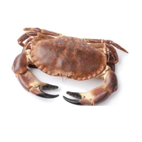 prodotto
