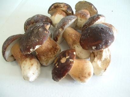 prodotto