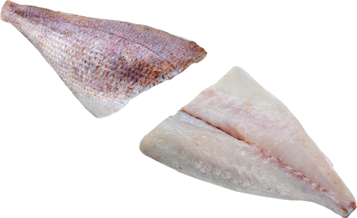 FILETTO DI PAGRO 140/180 MAREDI' PAGRUS PAGRUS (RPG) SURGELATO