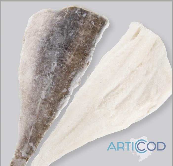 FILETTO DI MERLUZZO NORDICO 1000/1500 IQF GADUS MACROCEPHALUS FAO 61 CONGELATO