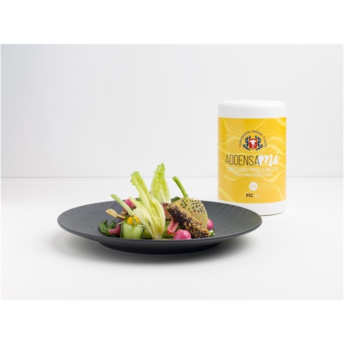 FIC ADDENSAMI GR.500 AMIDO DI MAIS MODIFICATO PREGELATINIZZATO