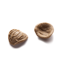 ORECCHIETTE GRANO ARSO GRANORO N°411 GR.500X12