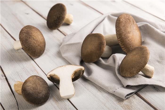 FUNGHI CARDONCELLI AL NATURALE KG.1 AZIENDA AGRICOLA DI TRIA SURGELATO