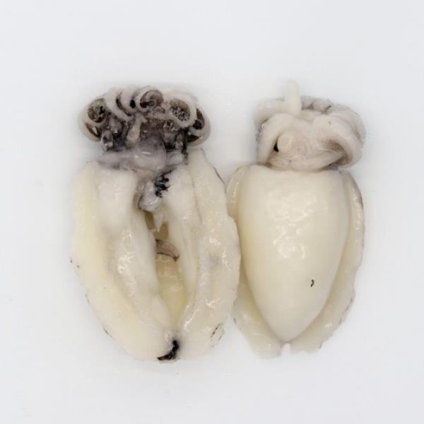 SEPPIA PULITA MAREDÌ IQF 50/100 SEPIA OFFICINALIS (CTC) - SURGELATO