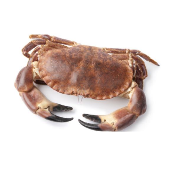 GRANCIPORRO SURGELATO IQF MAREDI' CANCER PAGURUS (CRE)