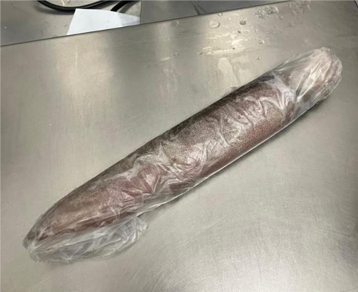 CALAMARO ATLANTICO SUDAFRICA 