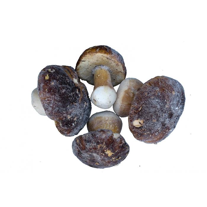 FUNGHI PORCINI PRIMETTA ERICA CONGELATO KG.1 BOLETUS EDULIS E REL. GRP.