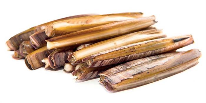 CANNOLICCHI OCEANICI CONGELATI KG.1 ENSIS DIRECTUS