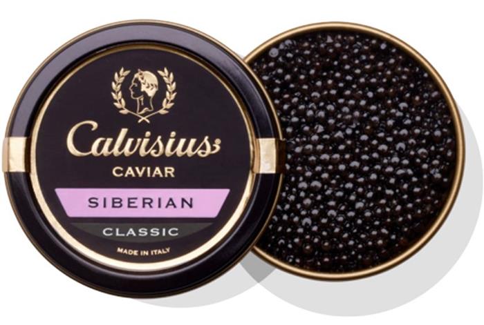 CAVIALE CALVISIUS SIBERIAN GR.10 STORIONE SIBERIANO - ACIPENSER BAERII