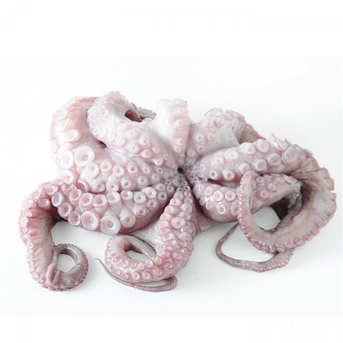 POLPI GRECIA IQF T8 300/500 2 SCELTA OCTOPUS VULGARIS (OCC) CONGELATO