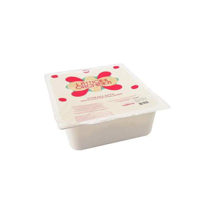 FIOR DI LATTE JULIENNE ORCHIDEA KG.3 ATP ORCHIDEA KG.3