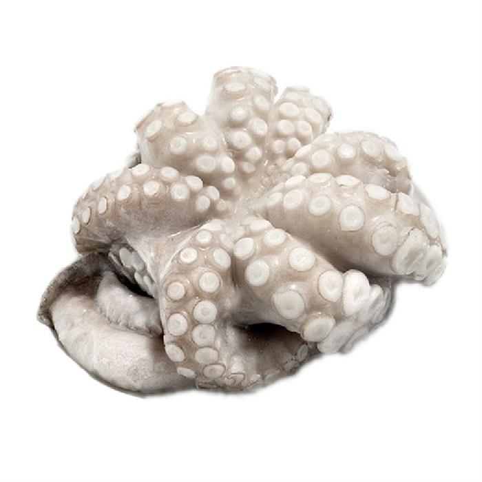 POLPI MESSICO T7 500/800 IQF CONGELATO OCTOPUS MAYA Z/FAO 31