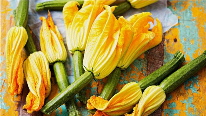 FIORI DI ZUCCHINA AL NATURALE GR.250 SURGELATO AZIENDA AGRICOLA D'ITRIA