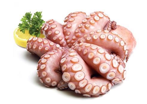 POLPI SENEGAL 500/800 IQF T/7 CONGELATO AFRICACOLD OCTOPUS VULGARIS Z/FAO 34