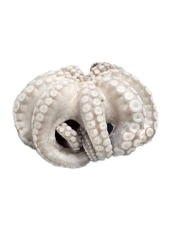 POLPI MESSICO T6 800/1200 IQF CONGELATO OCTOPUS MAYA Z/FAO 31