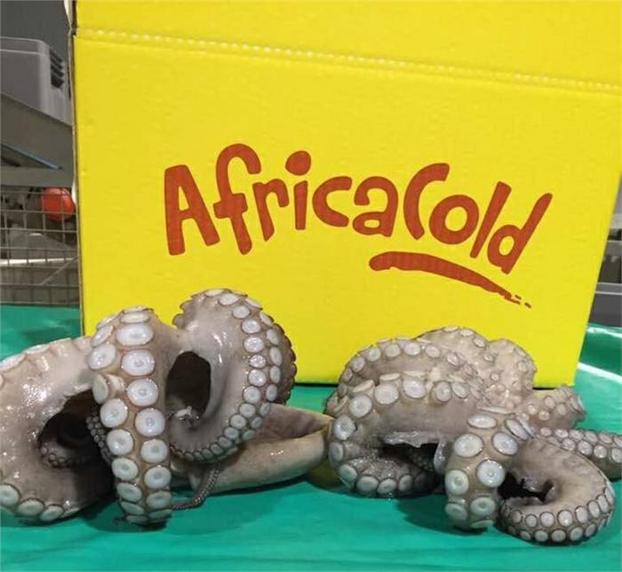 POLPI SENEGAL 800/1200 IQF T/6 CONGELATO AFRICACOLD OCTOPUS VULGARIS Z/FAO 34