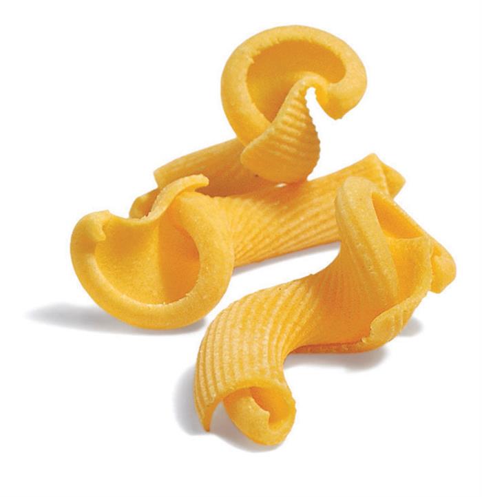 SURGITAL MACCHERONI AL TORCHIO SURGELATO LABORATORI TORTELLINI