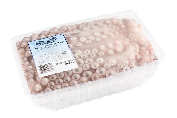 POLPI MOYSEAFOOD N°2 1000/2000 CONGELATO VASCHETTA OCTOPUS VULGARIS Z/FAO 34