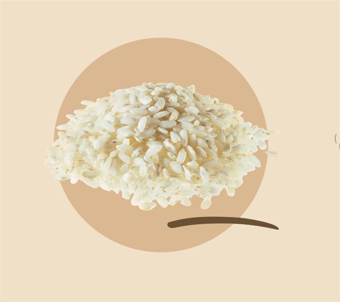 SURGITAL RISO CARNAROLI PRECOTTO SURGELATO PASTASI SOLUZIONI EXPRESS