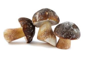 FUNGHI PORCINI INTERI DI 1° SCELTA ERICA CONGELATO BOLETUS EDULIS E REL. GRP.