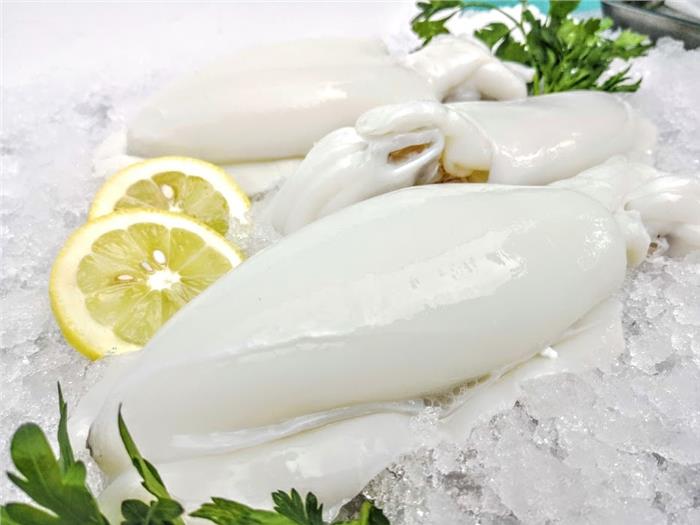 SEPPIA INDOPACIFICA PULITA 1000/2000 U1 IQF SURG.SEPIA PHARAONIS Z/FAO 51