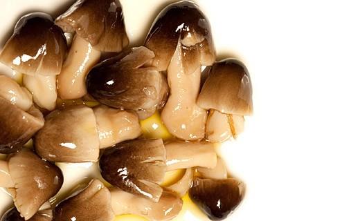 FUNGHI DI MUSCHIO IN OLIO ITALCARCIOFI ML.3100