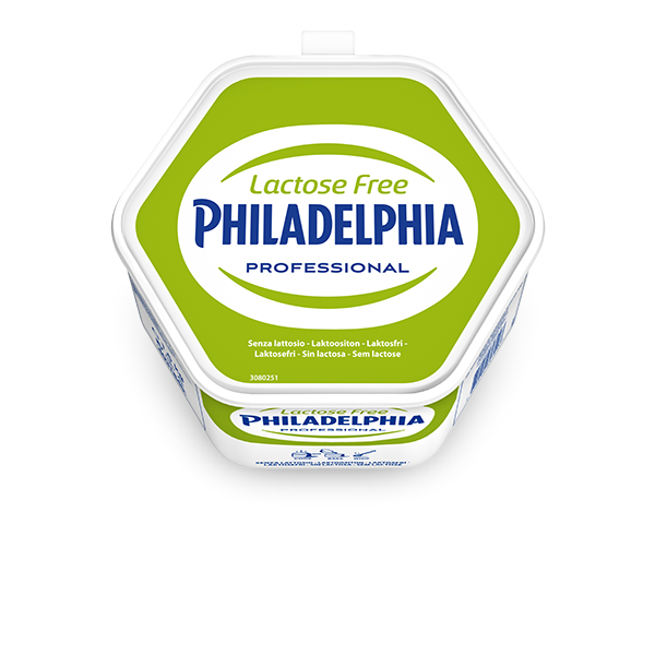 PHILADELPHIA SENZA LATTOSIO KG.1,5